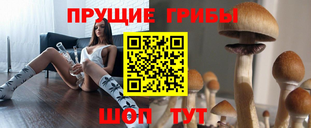 Соликамск  Псилоцибиновые грибы прущие грибы  Вход с VPN 